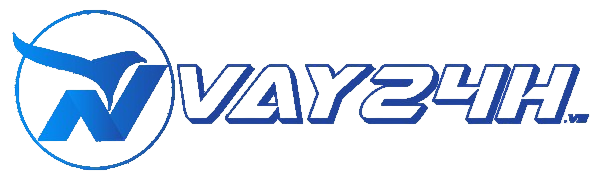 VnVay24h